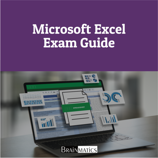 Microsoft Excel Exam Guide