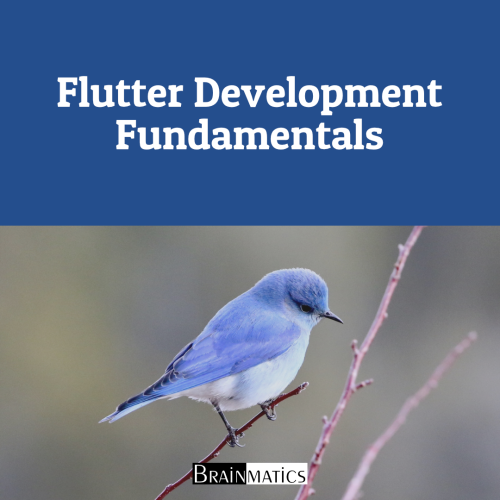 Flutter Development Fundamentals