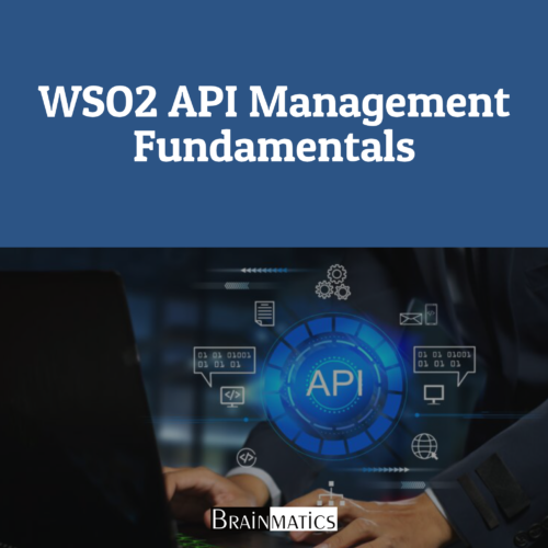 WSO2 API Management Fundamentals