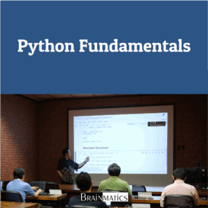 Python Fundamentals: Regular Online Training