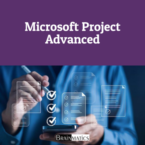 Microsoft Project advanced